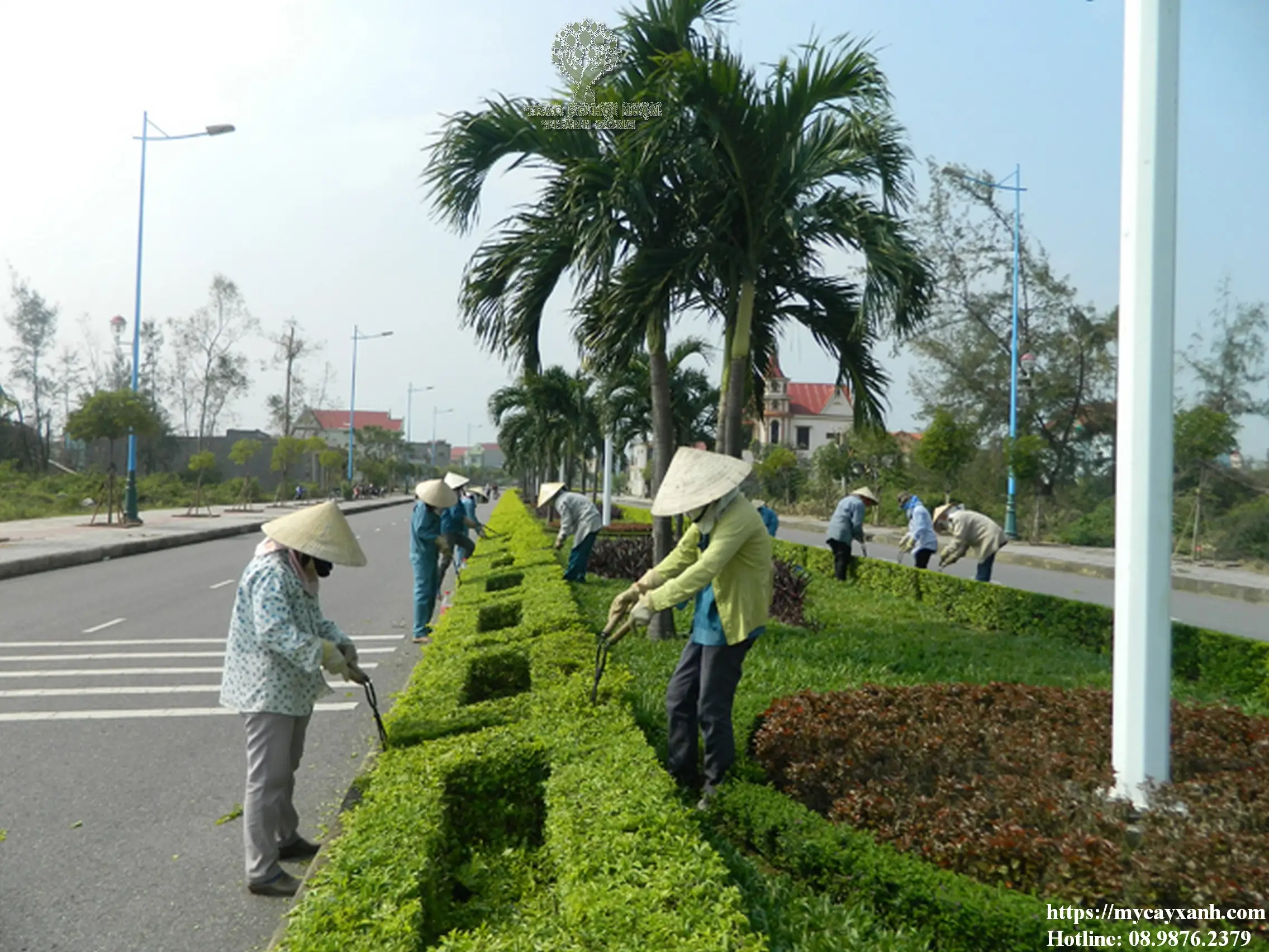 Bảng giá chăm sócây xanh tại nhà ở Vũng Tàu