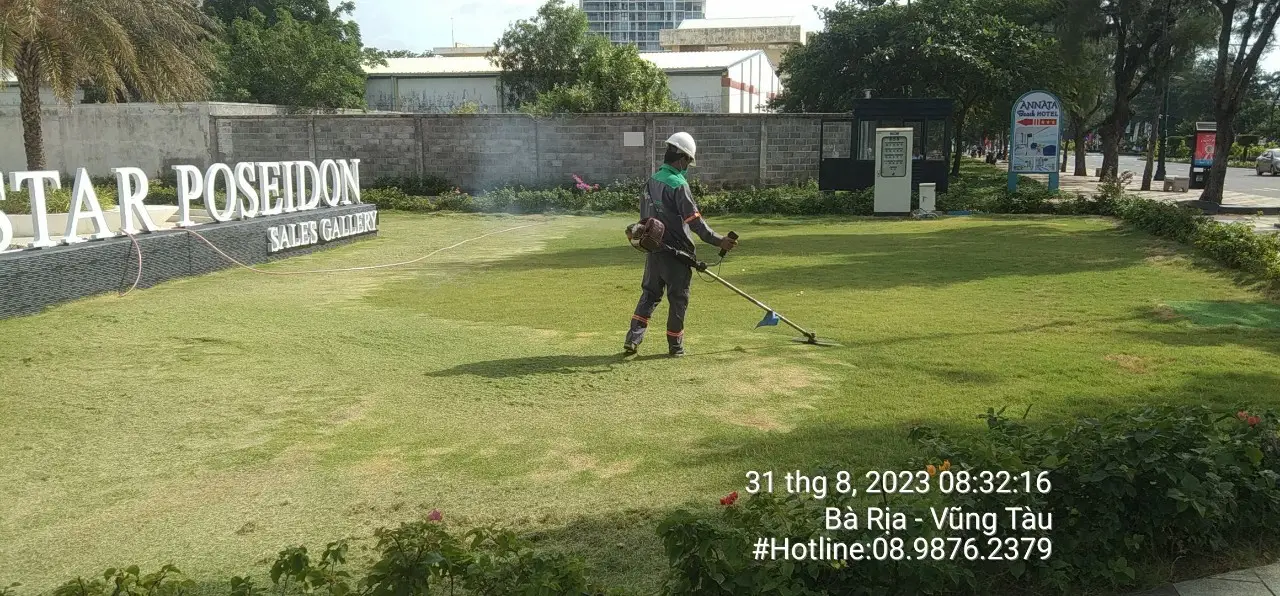 Cắt cỏ nhà xưởng Giải pháp hiệu quả cho xí nghiệp ở Vũng Tàu năm 2023