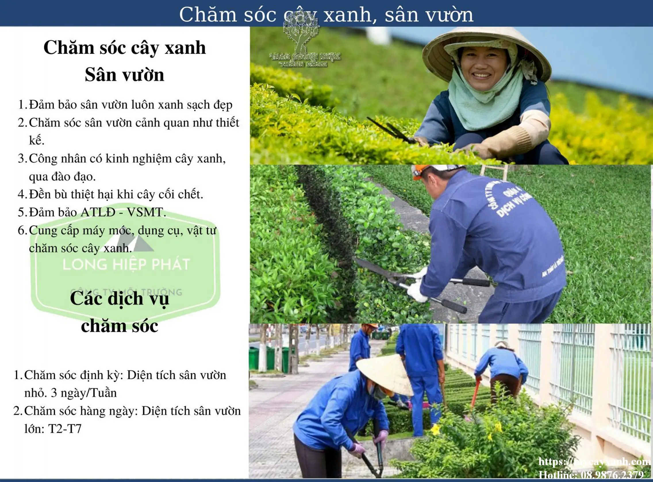 Dịch vụ cắt tỉa cây xanh Vũng Tàu năm 2023