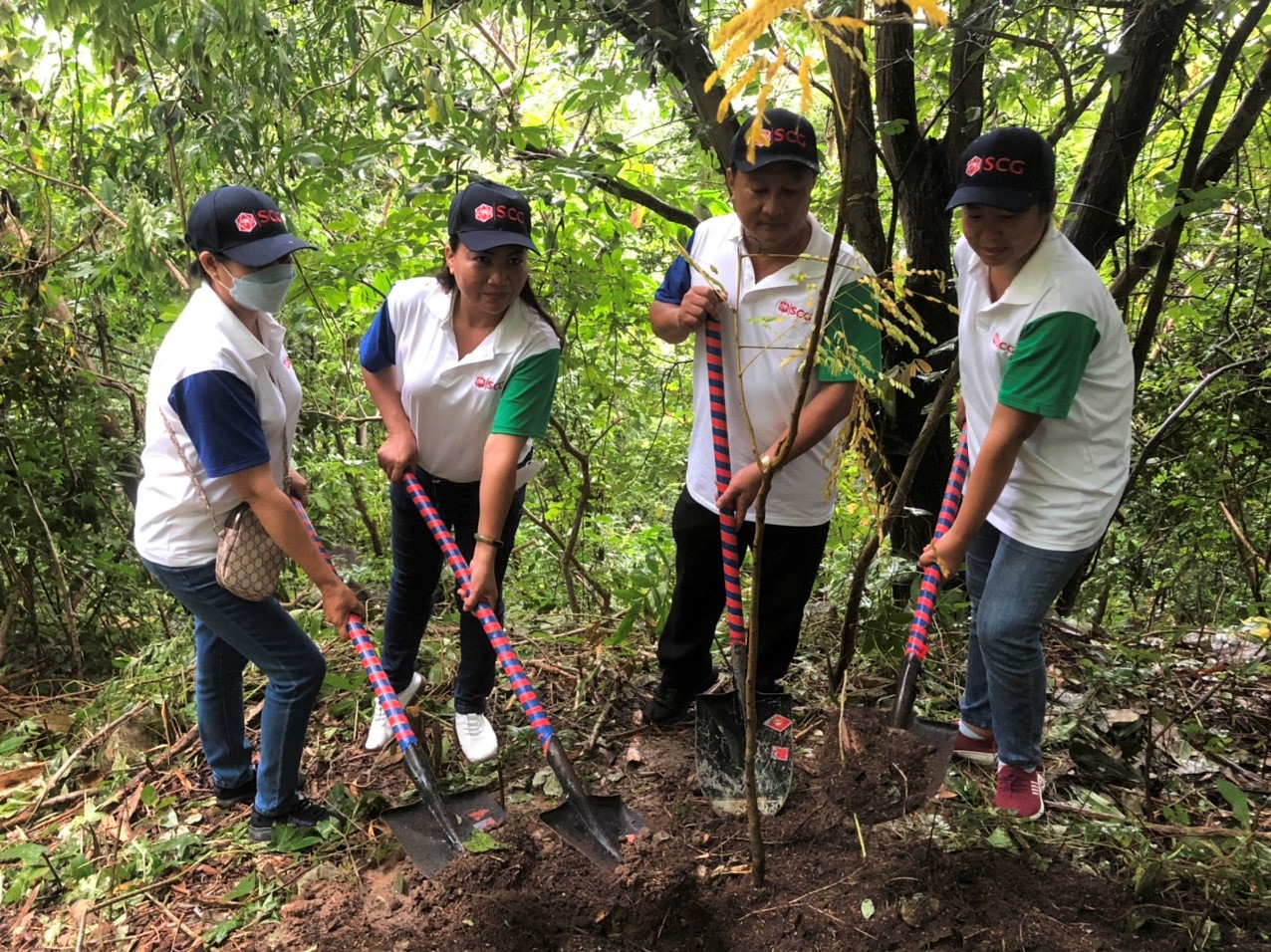 Giới thiệu Công ty Cây xanh Đức Lâm Vũng Tàu